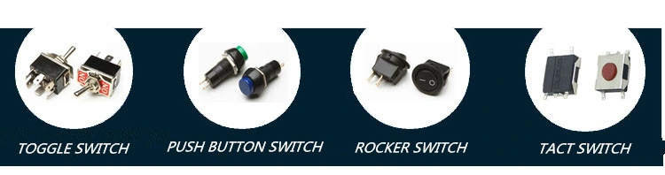 Automotive Switch, Mini Switch, Small Switch, Auto Switch, Automotive Switch